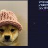Dogwifhat Knitted Hat Sells for $800,000