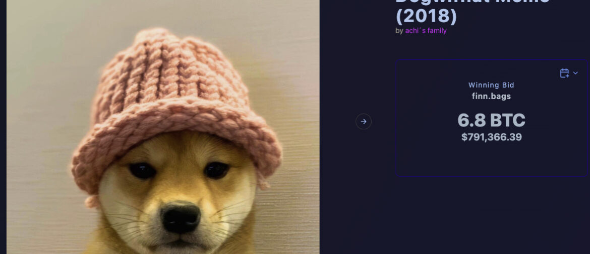 Dogwifhat Knitted Hat Sells for $800,000
