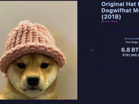 Dogwifhat Knitted Hat Sells for $800,000