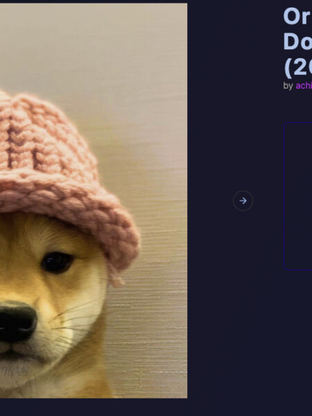 Dogwifhat Knitted Hat Sells for $800,000
