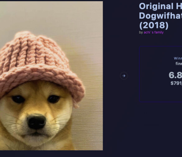 Dogwifhat Knitted Hat Sells for $800,000