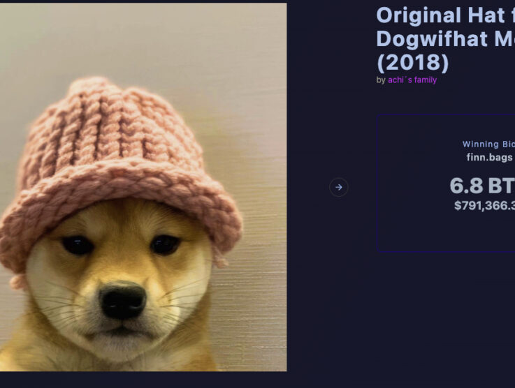 Dogwifhat Knitted Hat Sells for $800,000